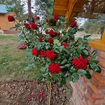 Planinska Kuca Nisicka Visoravan * سراييفو