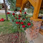 Planinska Kuca Nisicka Visoravan * سراييفو