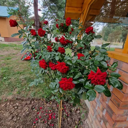 Planinska Kuca Nisicka Visoravan * Sarajewo