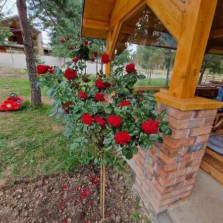 Planinska Kuca Nisicka Visoravan * Sarajewo